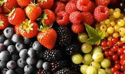 Способны на большее: о месте Украины на мировом рынке ягод